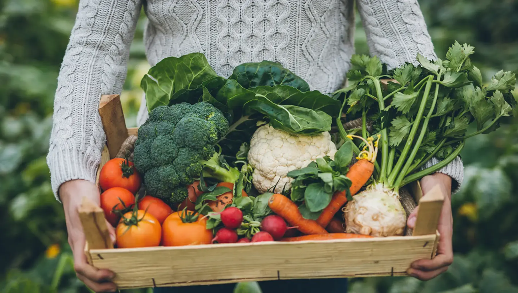 Nutrición saludable con Farmacia Feria